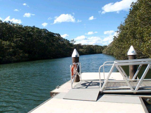 Lane Cove River 8