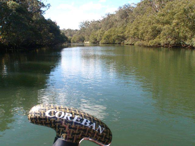 Lane Cove River 11
