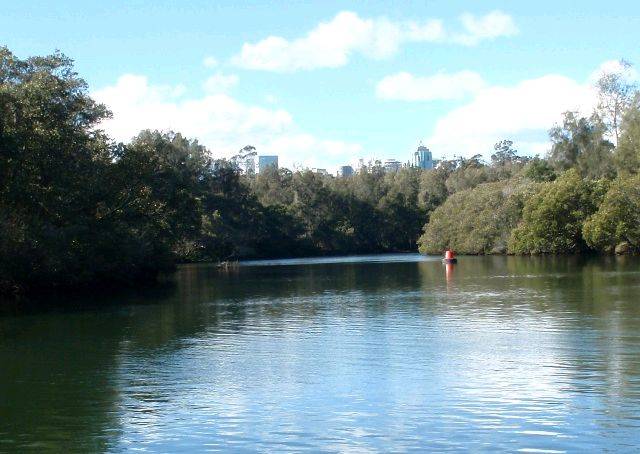 Lane Cove River 15
