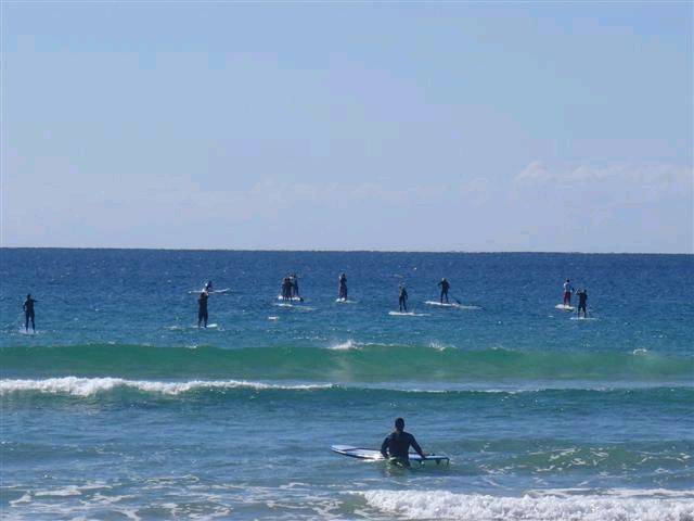 P8220011 (Small)