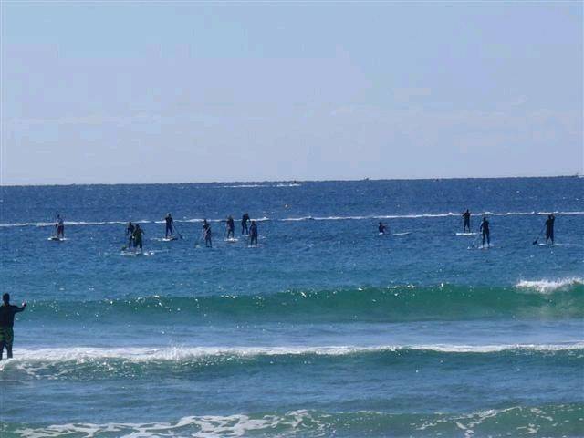 P8220013 (Small)