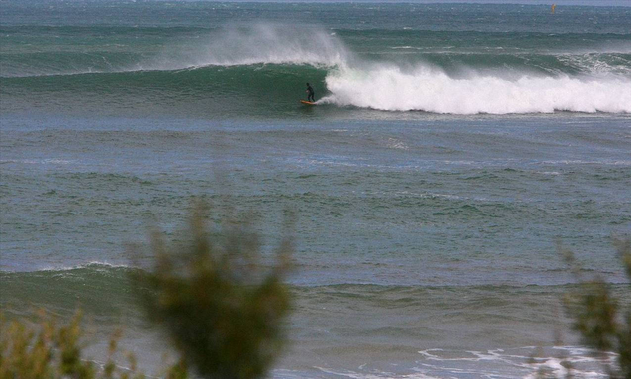 winter in victoria  max temp 11 degrees