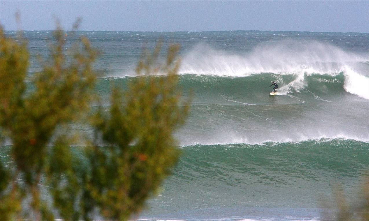 winter in victoria  max temp 11 degrees