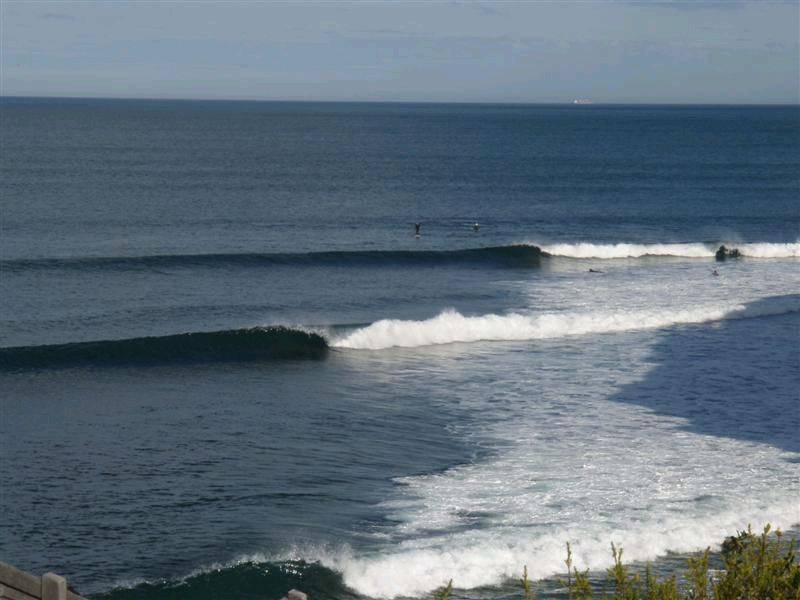 RINCON 024 (Medium)