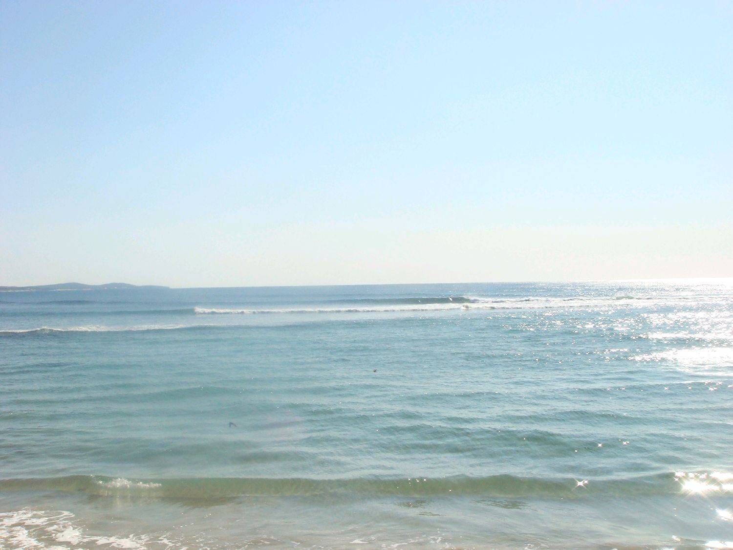 DSC01880