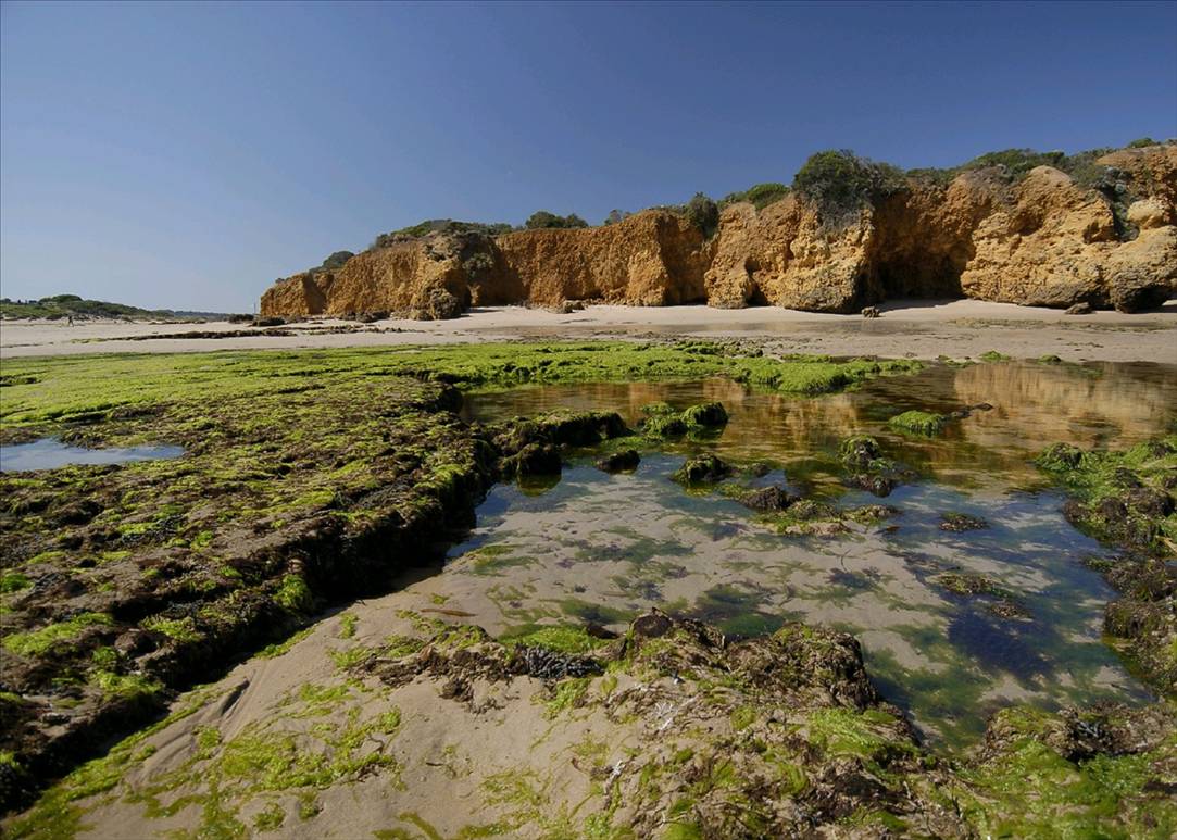 Torquay Point