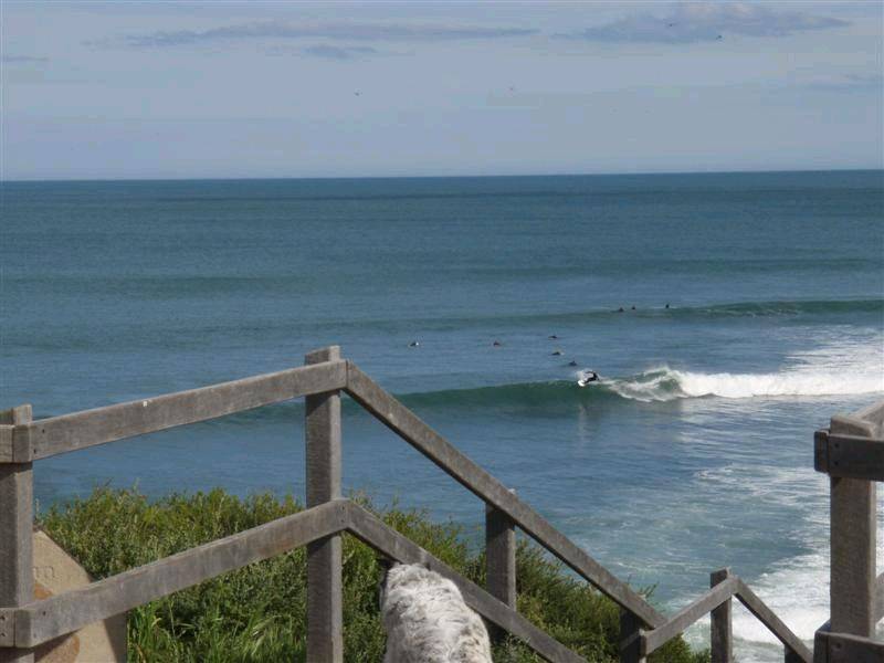 Rincon 044 (Medium)
