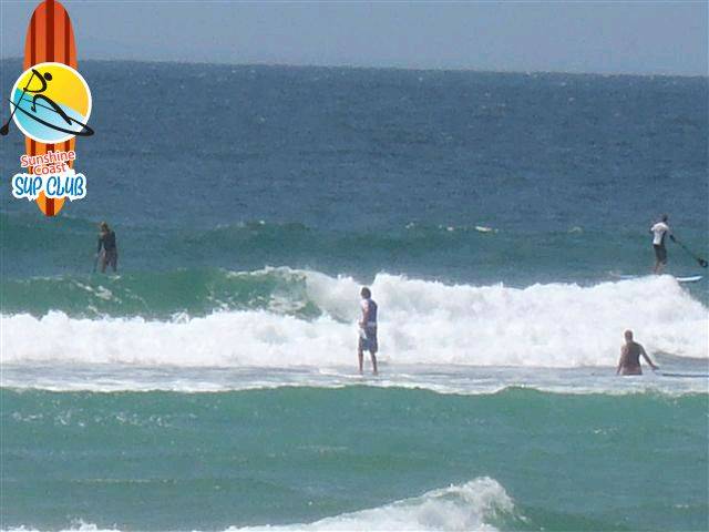 PB140028 (Small)