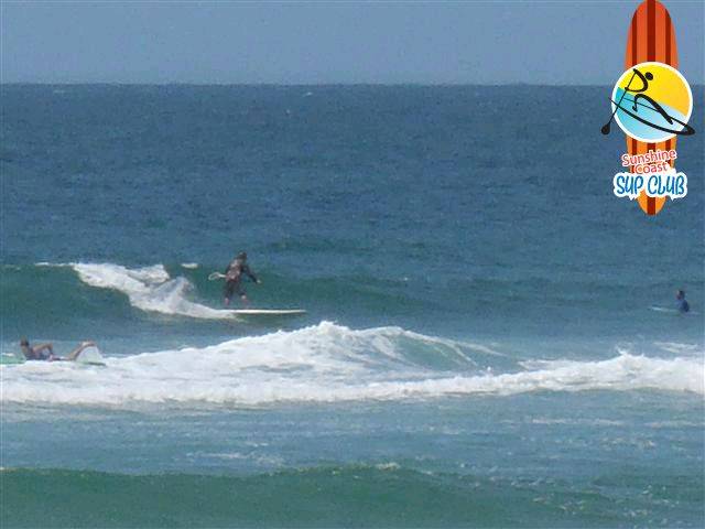 PB140059 (Small)