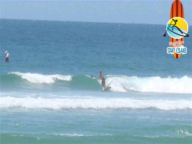 PB140078 (Small)