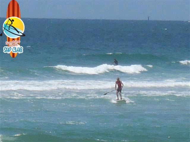PB140081 (Small)