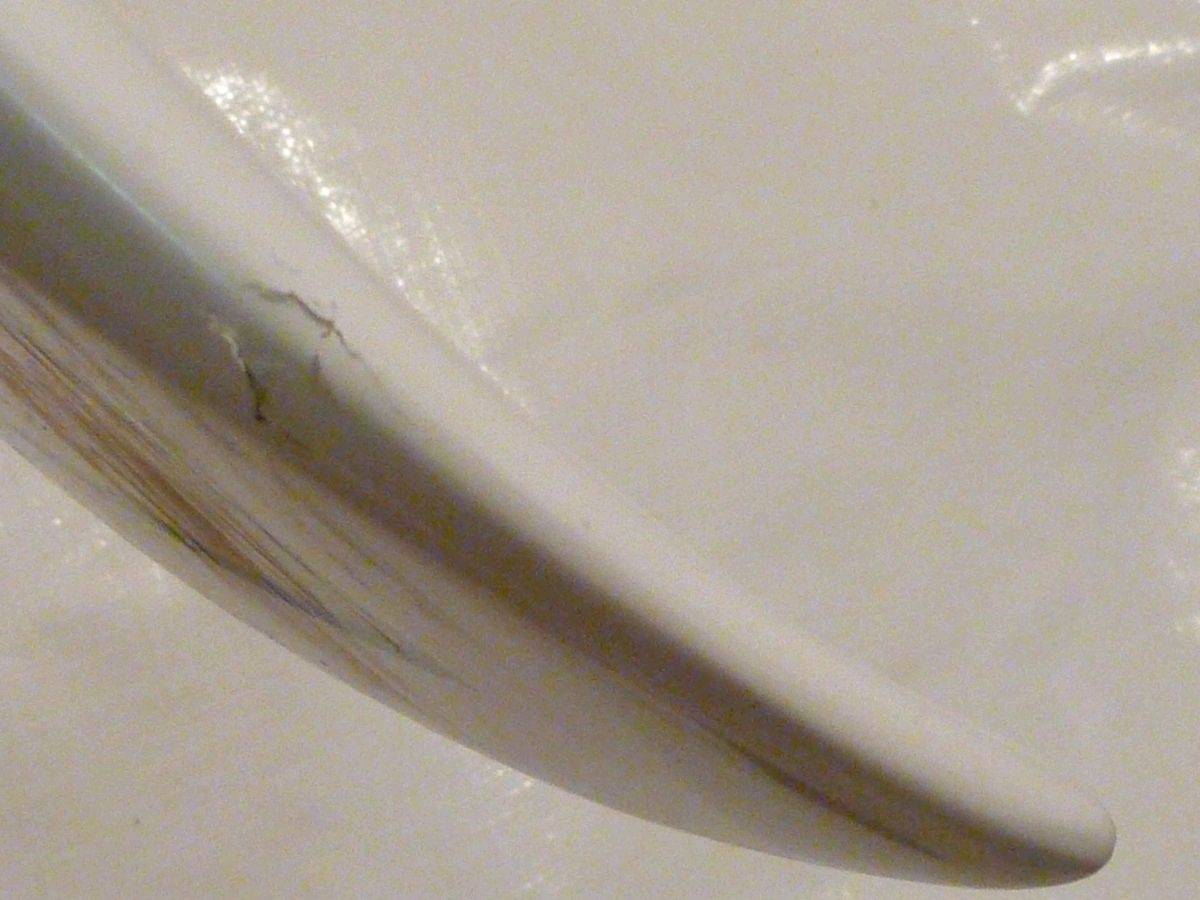 P1000147-2