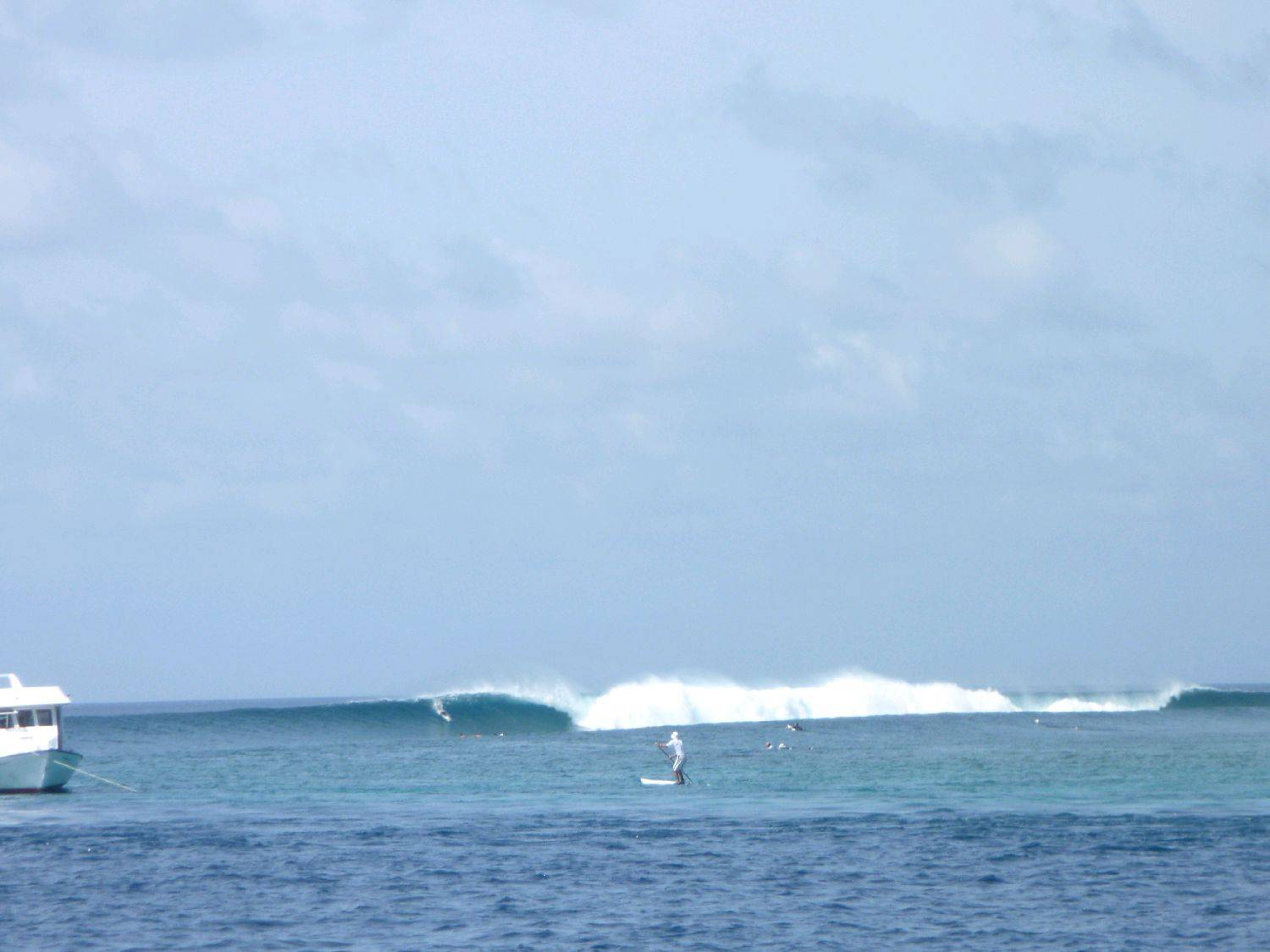 P1010989
