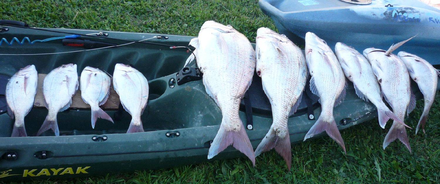 Kayak fishing 4 4 09