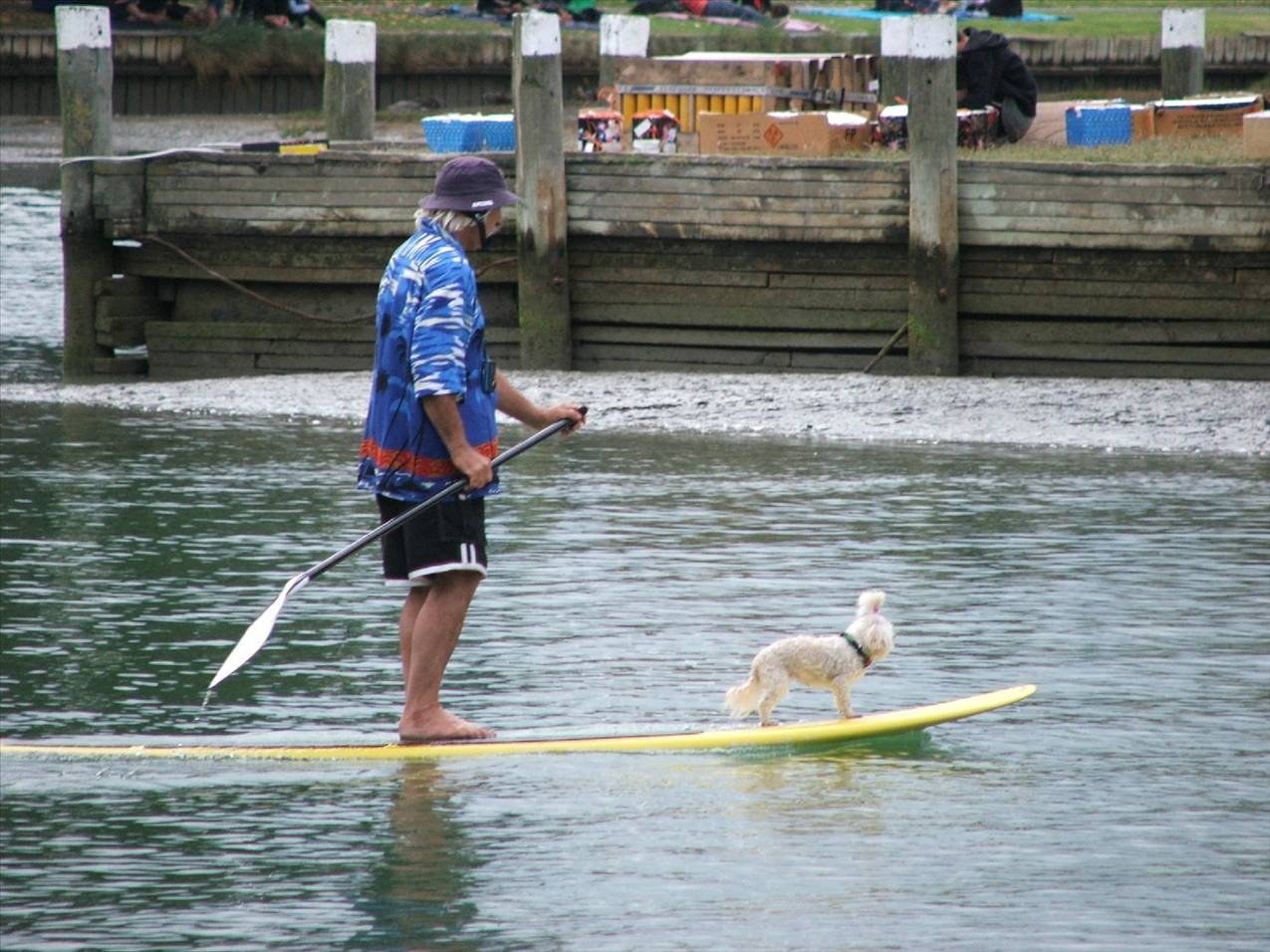 race four