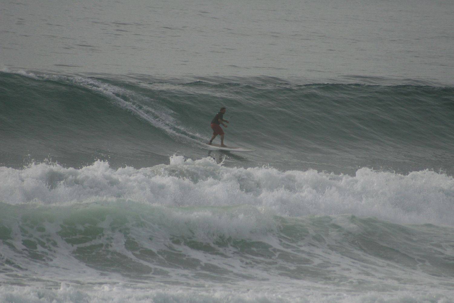 Main Sup Jan 2011 049