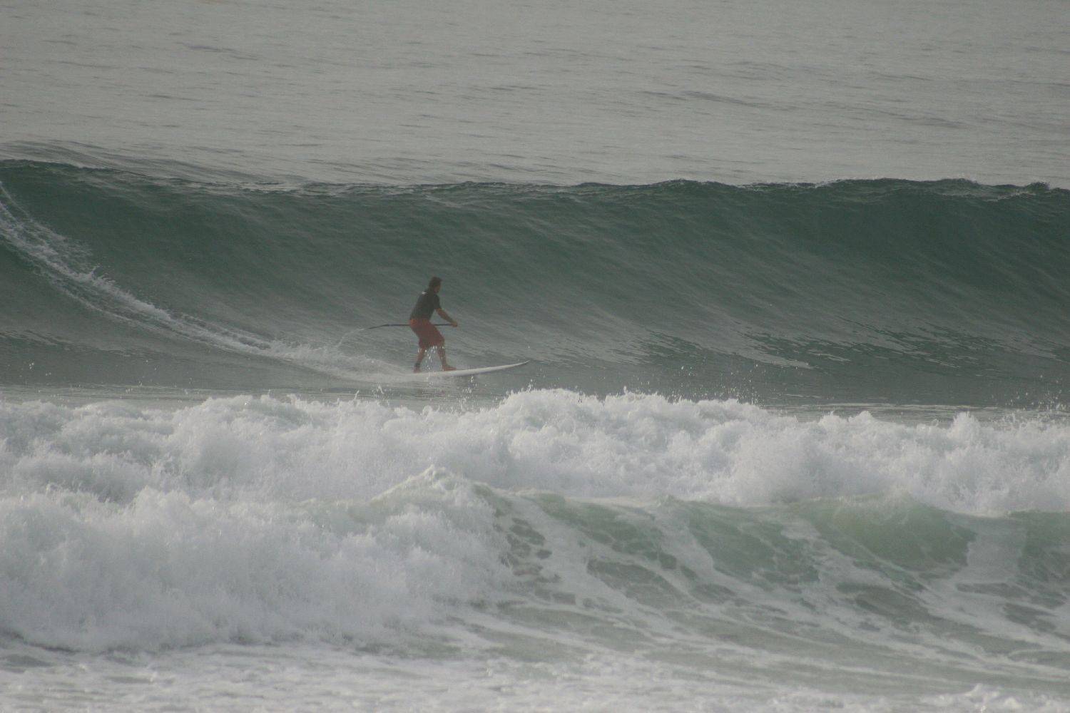 Main Sup Jan 2011 050