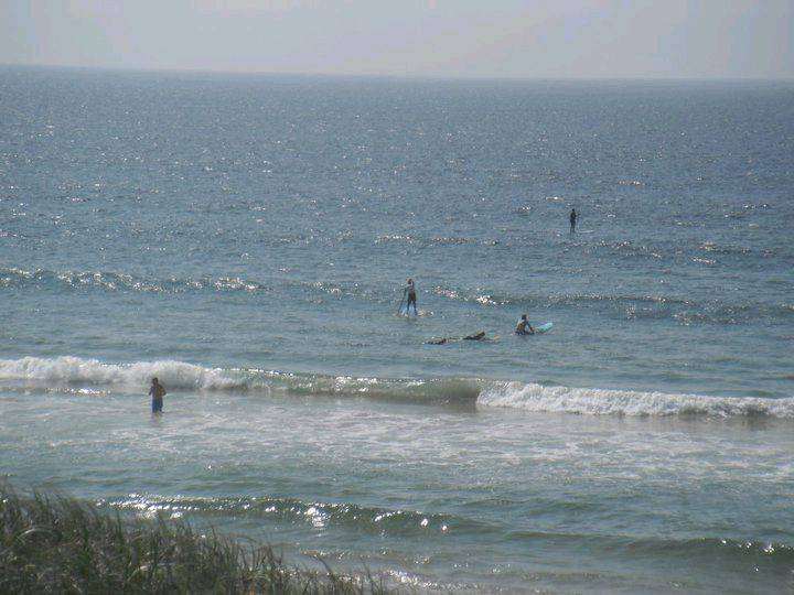 Cronulla Sutherland SUP Club DEMO Day