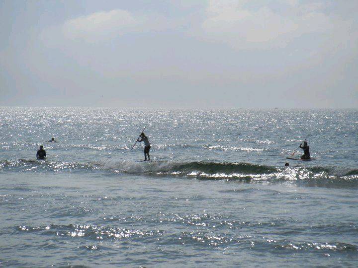 Cronulla Sutherland SUP Club DEMO Day