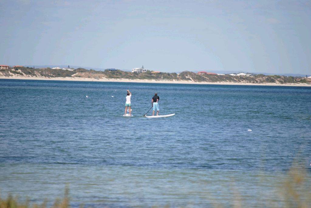 funpaddle 5