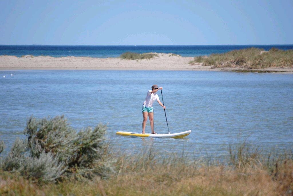 funpaddle 11