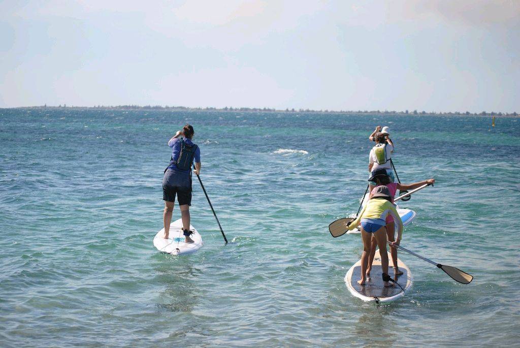 funpaddle 20