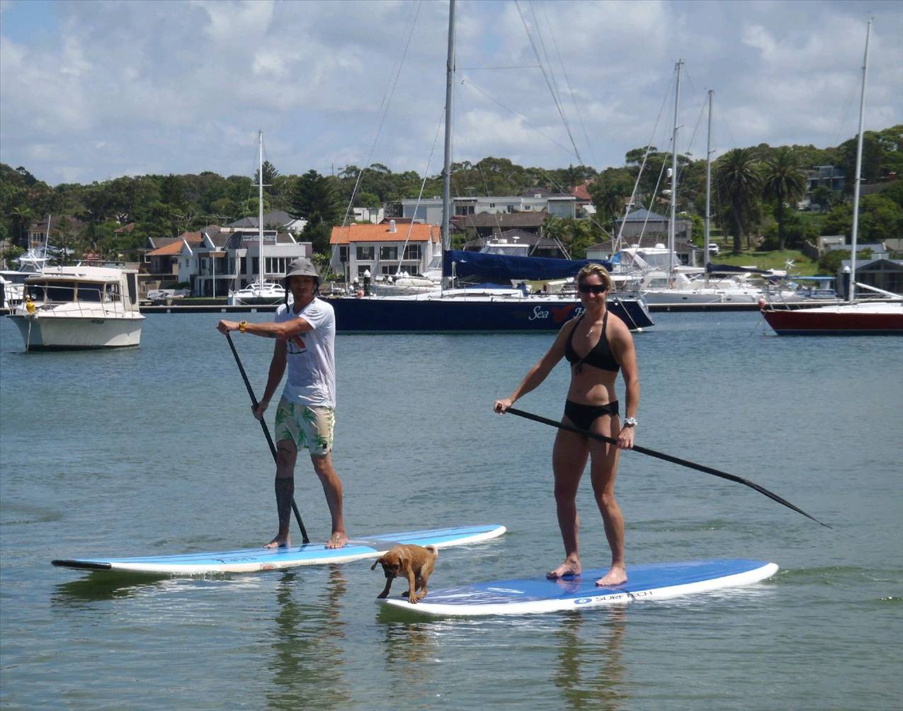 BRING YOUR DOG!