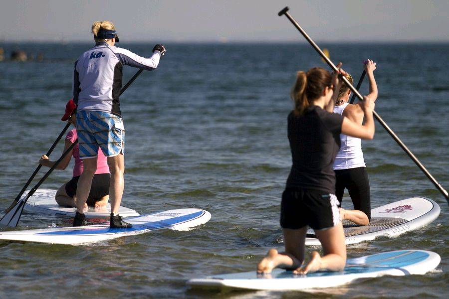 HMB sup 2