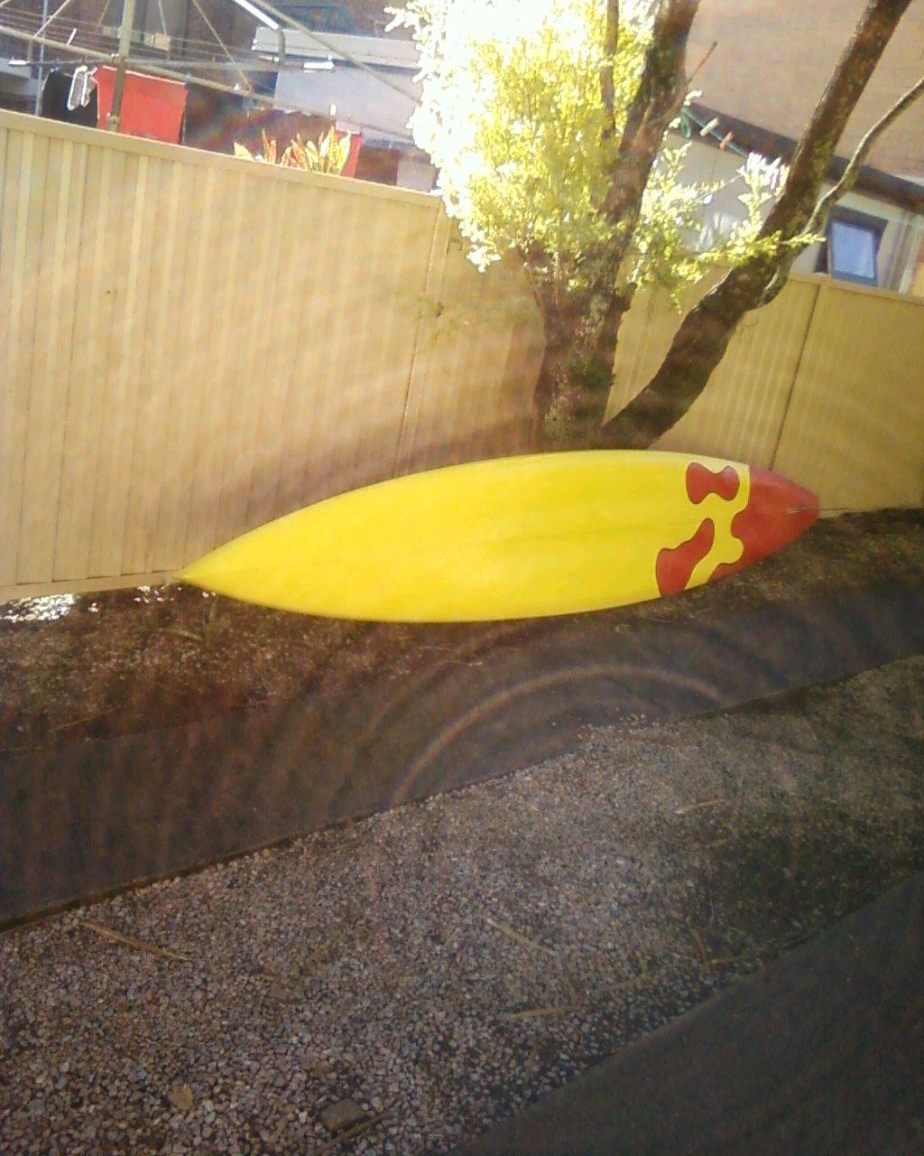 Photo0036