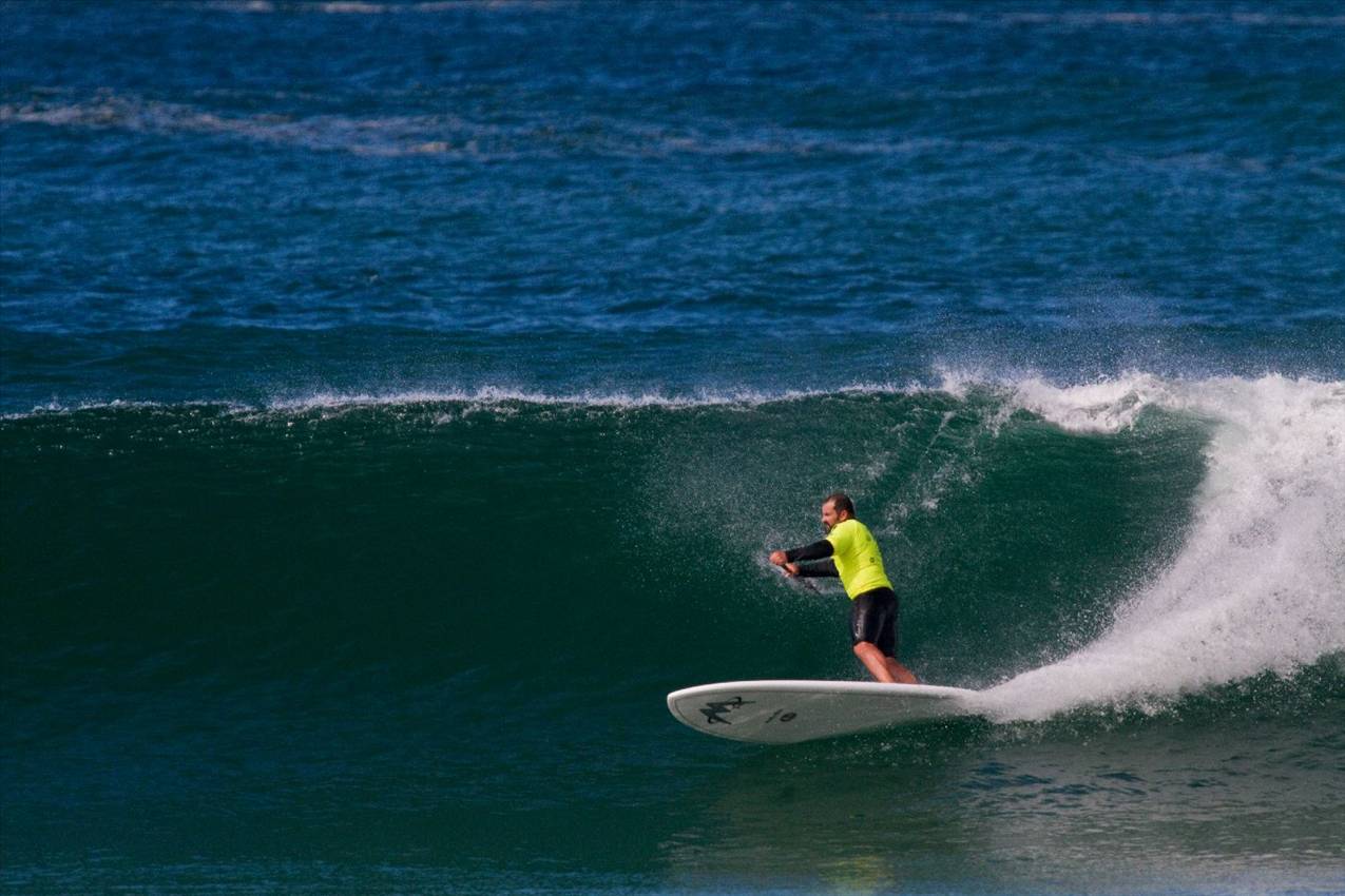 nsw titles 2011