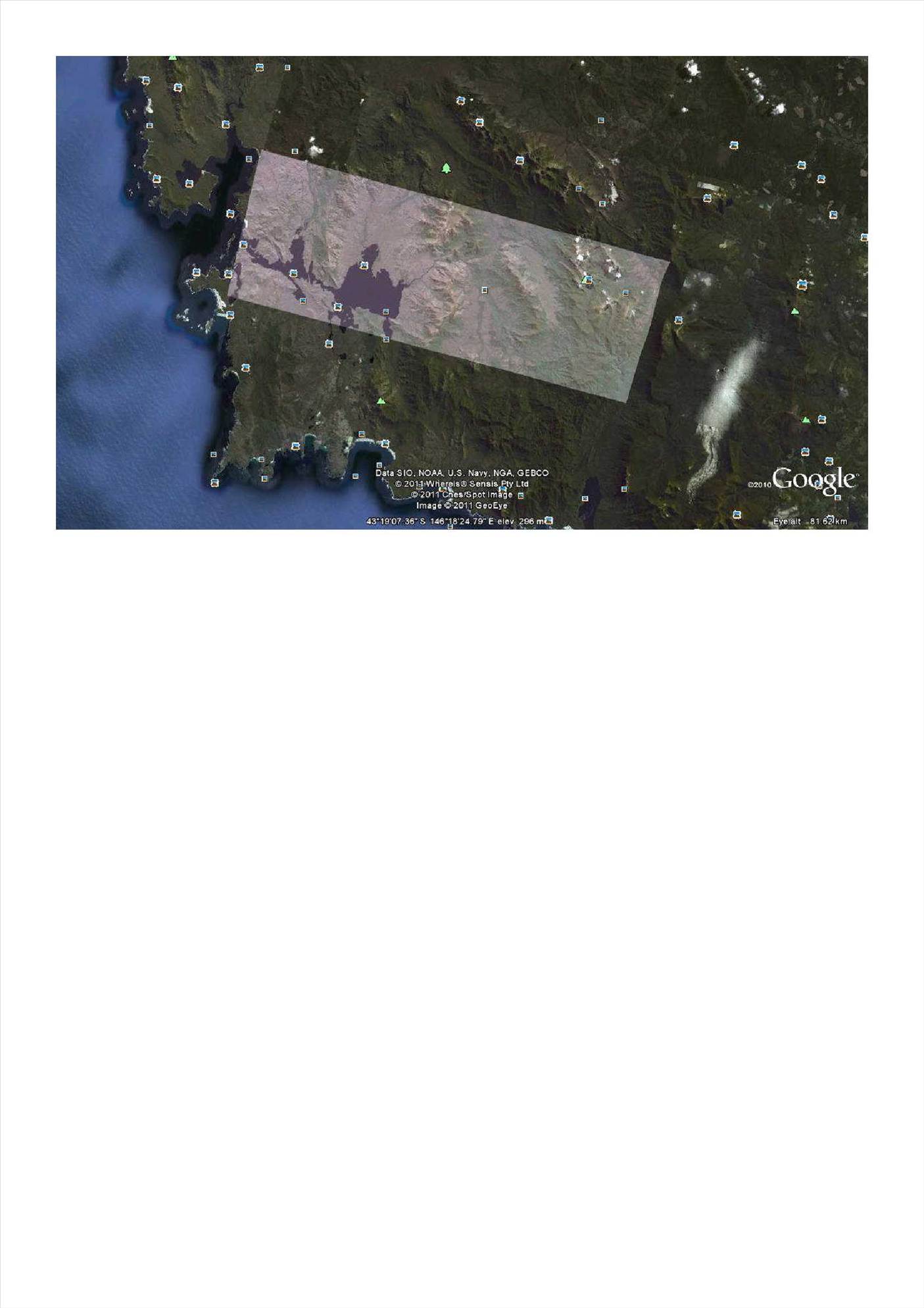 Tassie