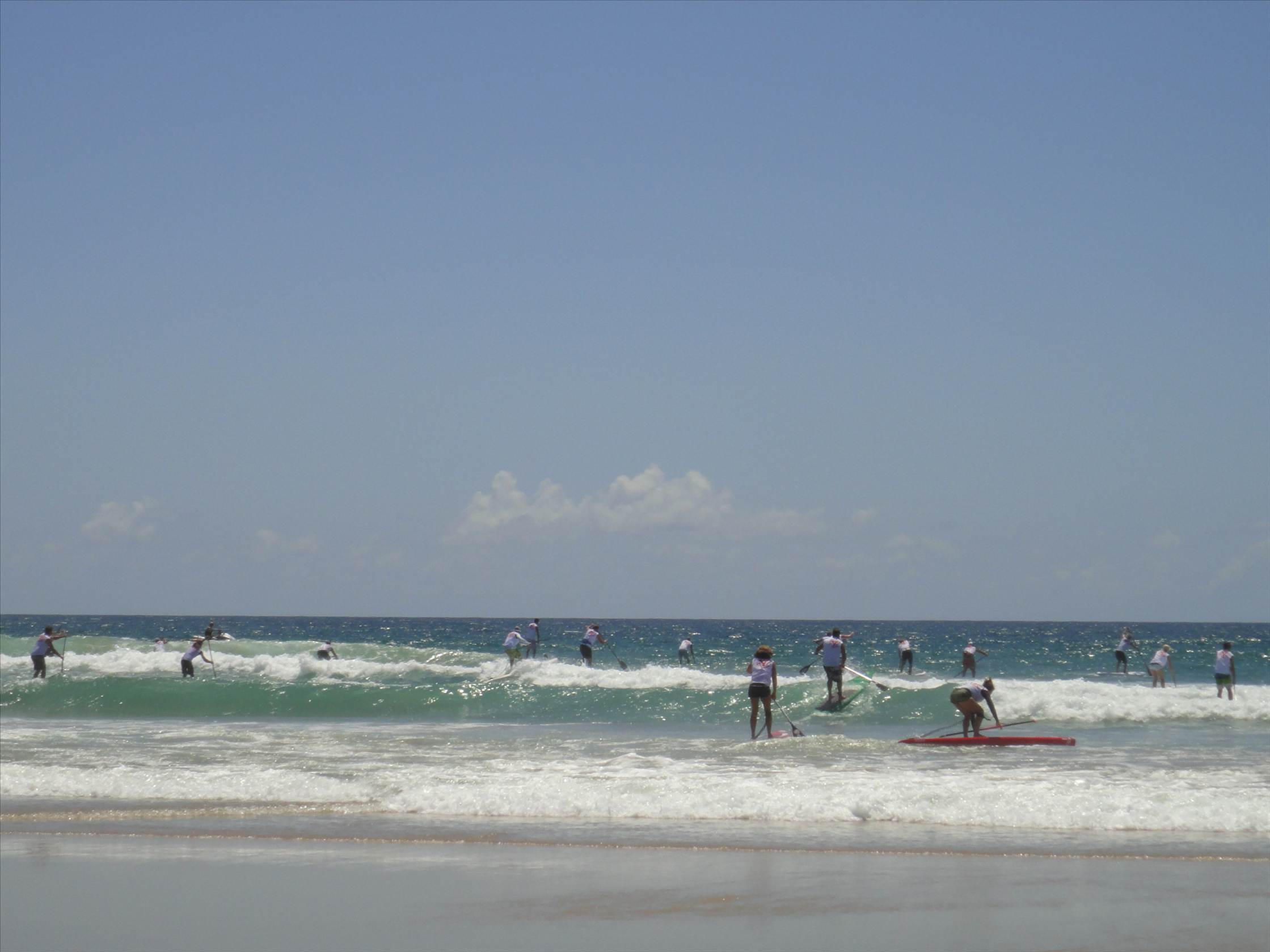 DSC00730