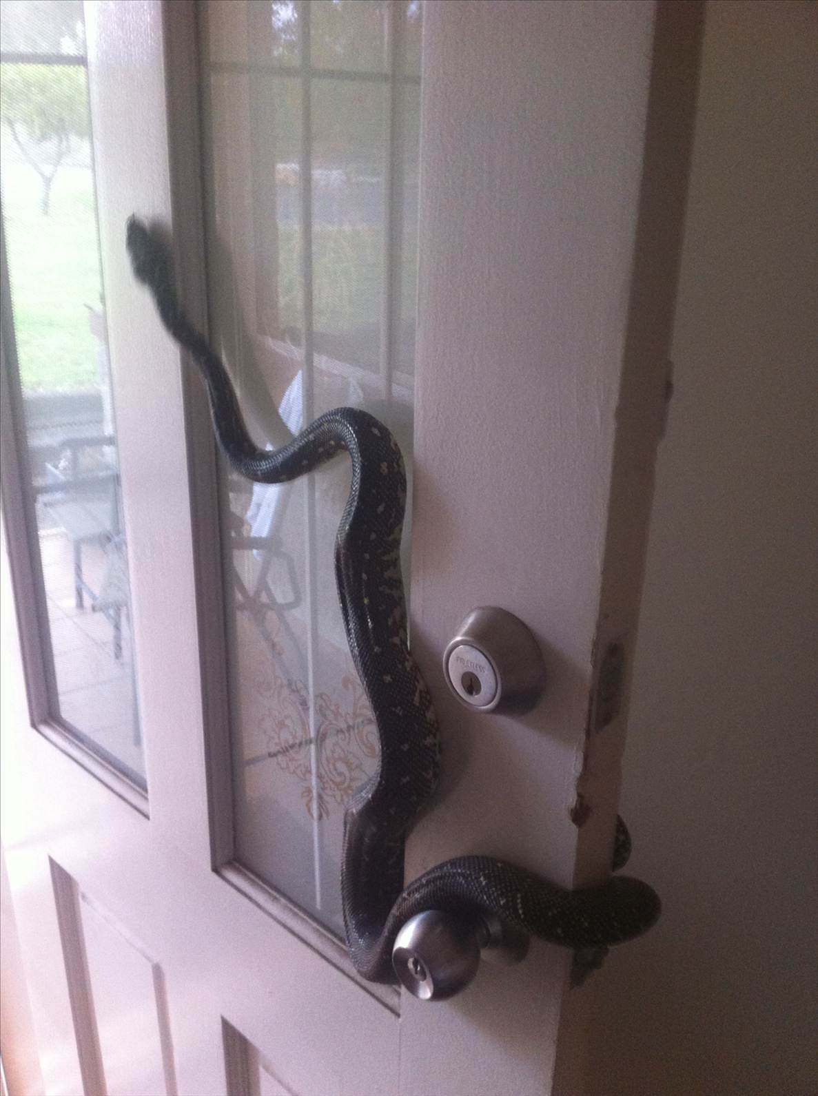 hate it when someone drops in without any notice