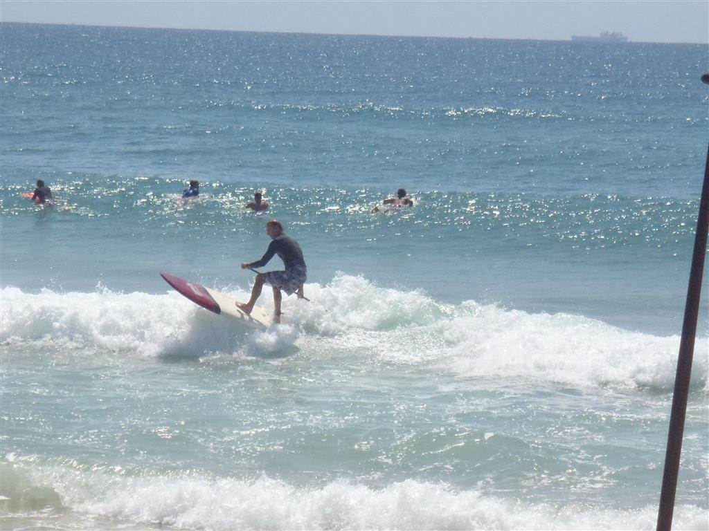 P1080034 (Medium)