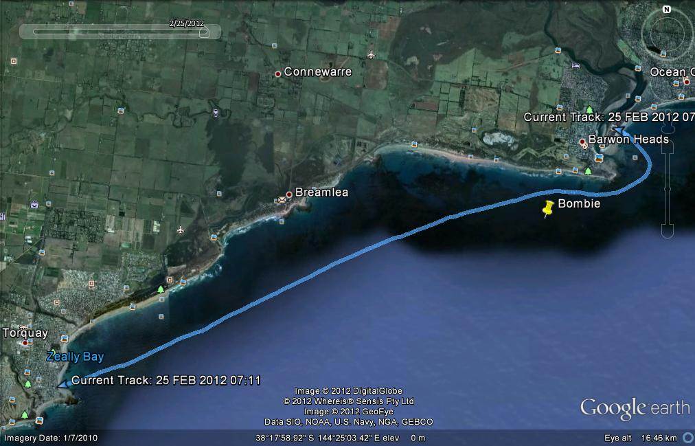 surfvic marathon