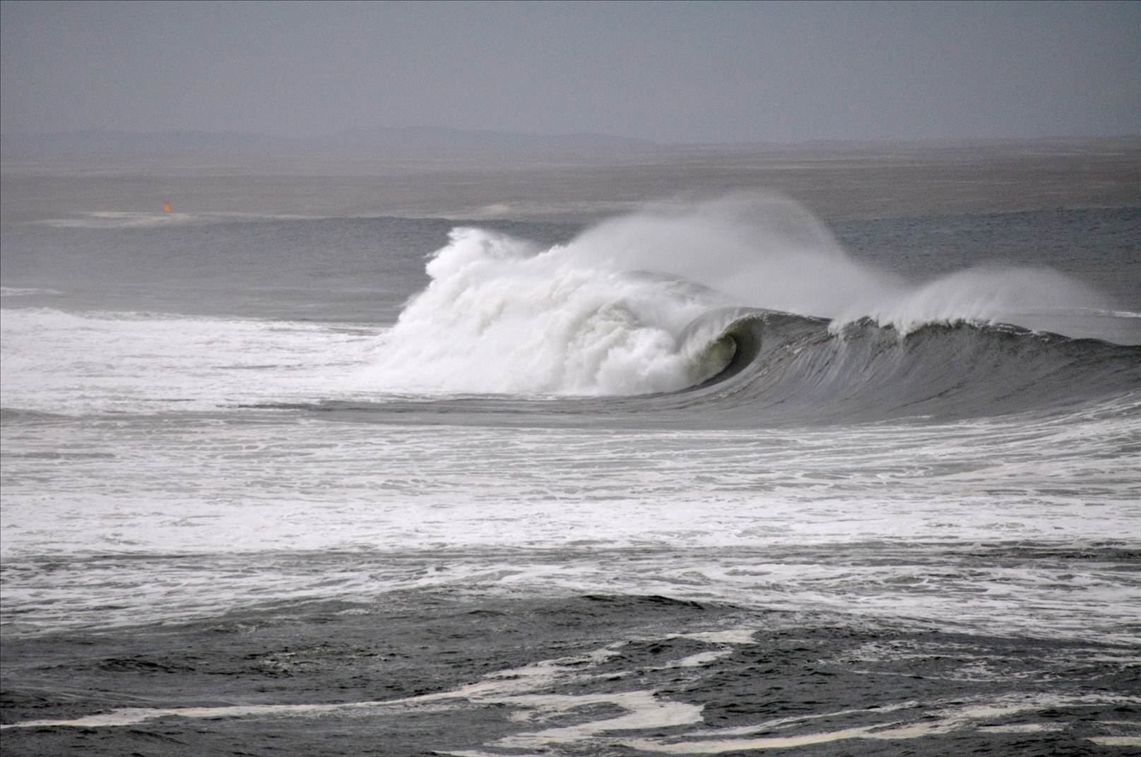 Wave1
