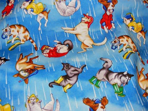 cats & dogs
