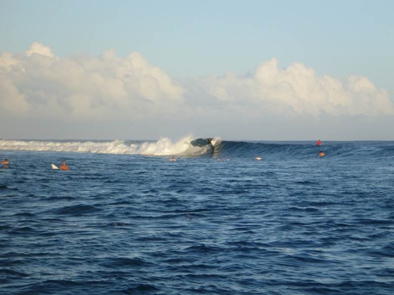 P1010386