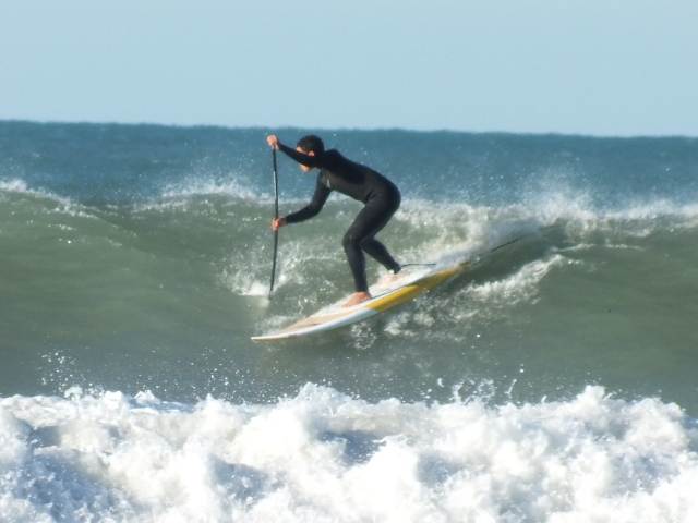 Gizzie Surf