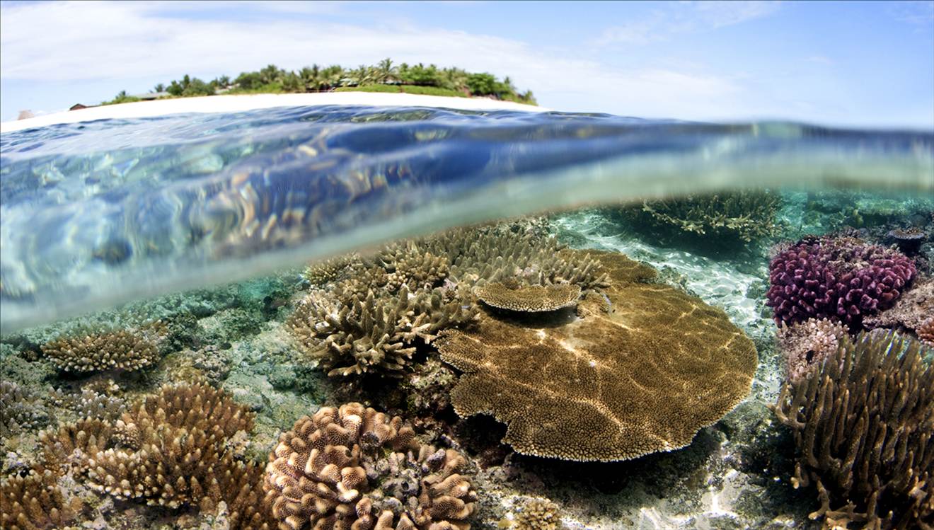 1. Namotu Island