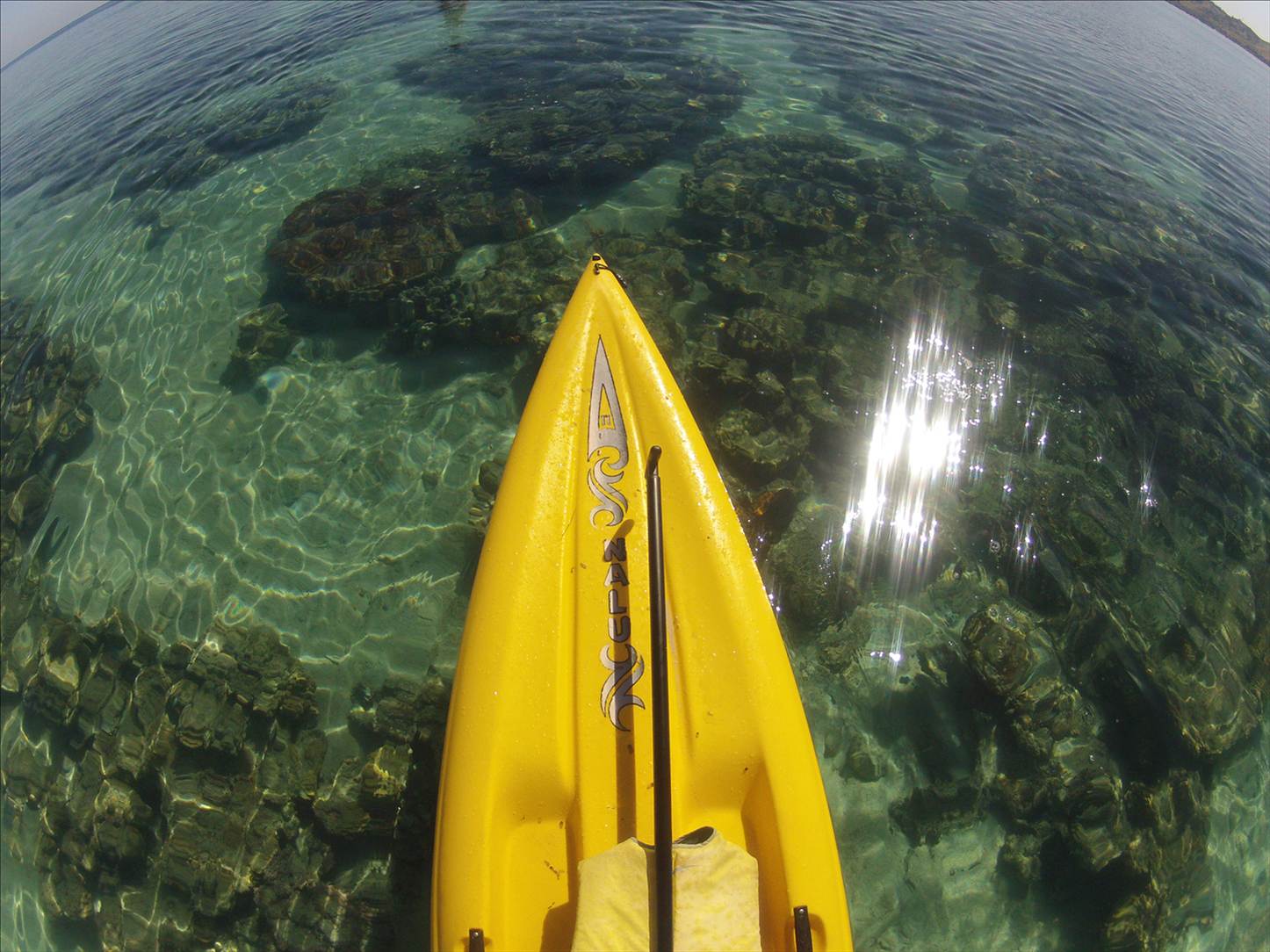 Fijian SUP