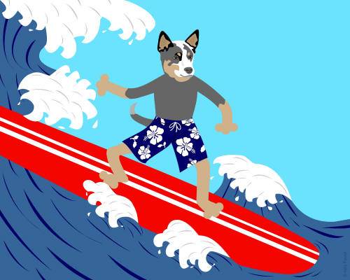austrailancattledog