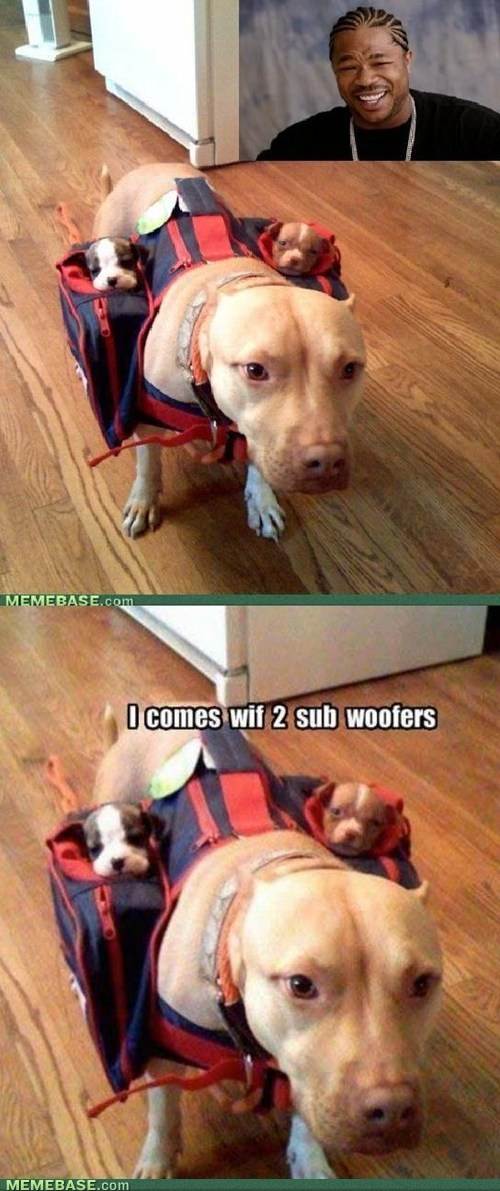 subwoofers