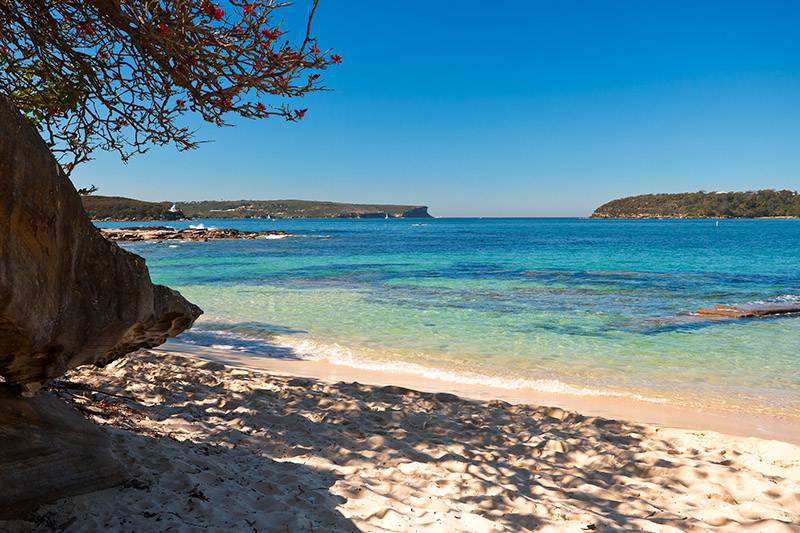 Balmoral to heads