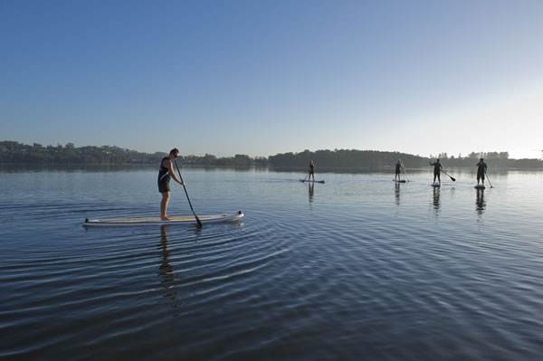 JPP paddle