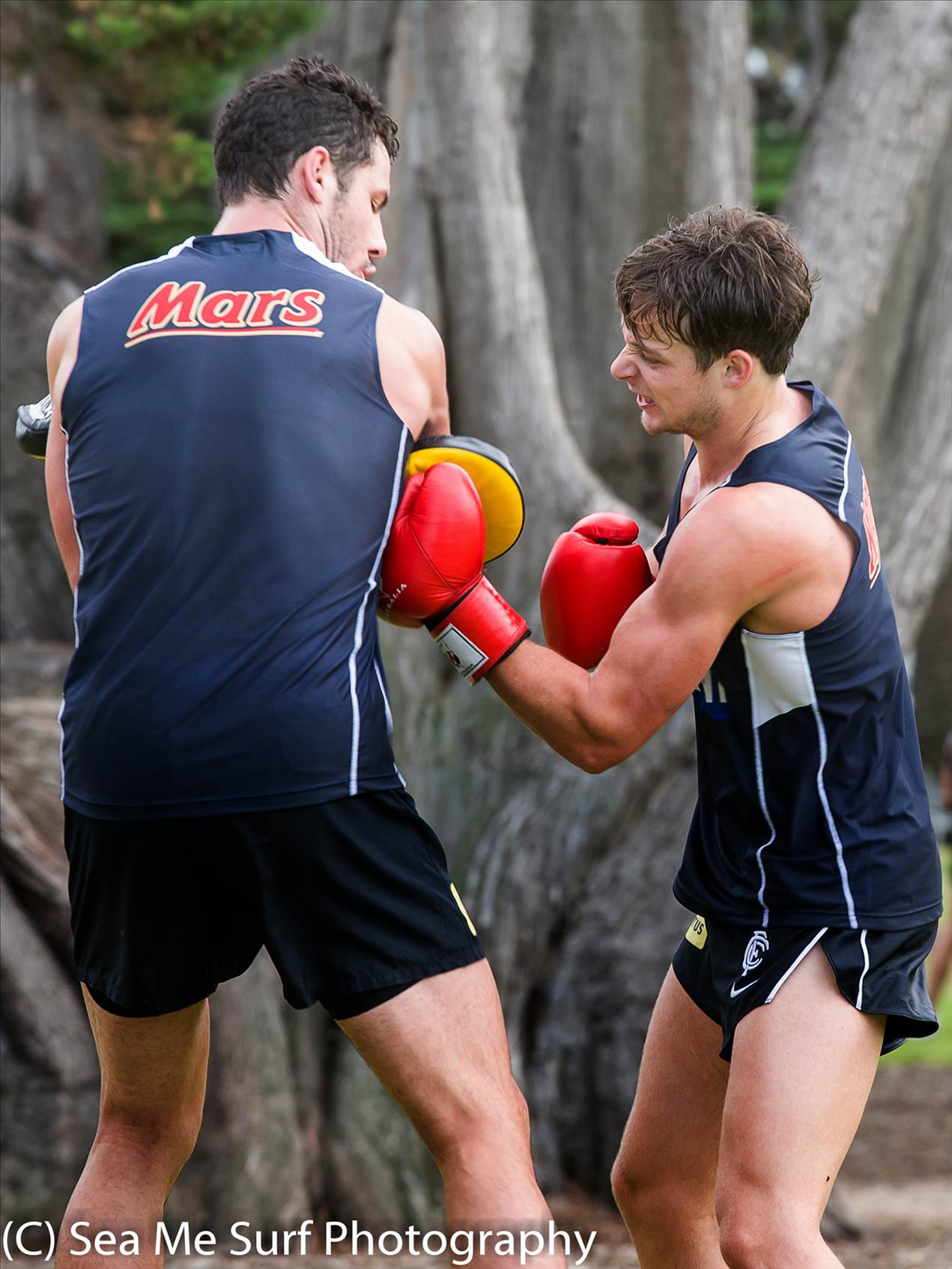 Carlton 1-1-6