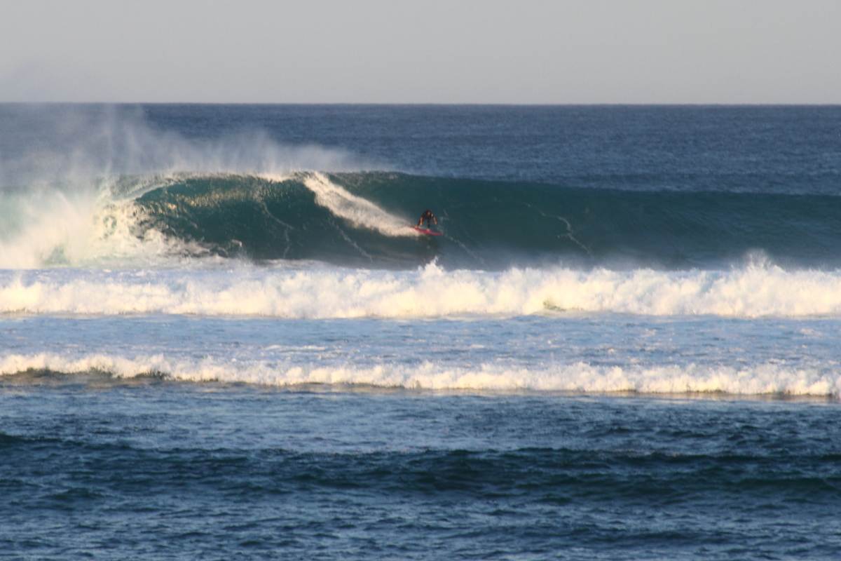 Heaving 6 TO 8 FOOT Langy