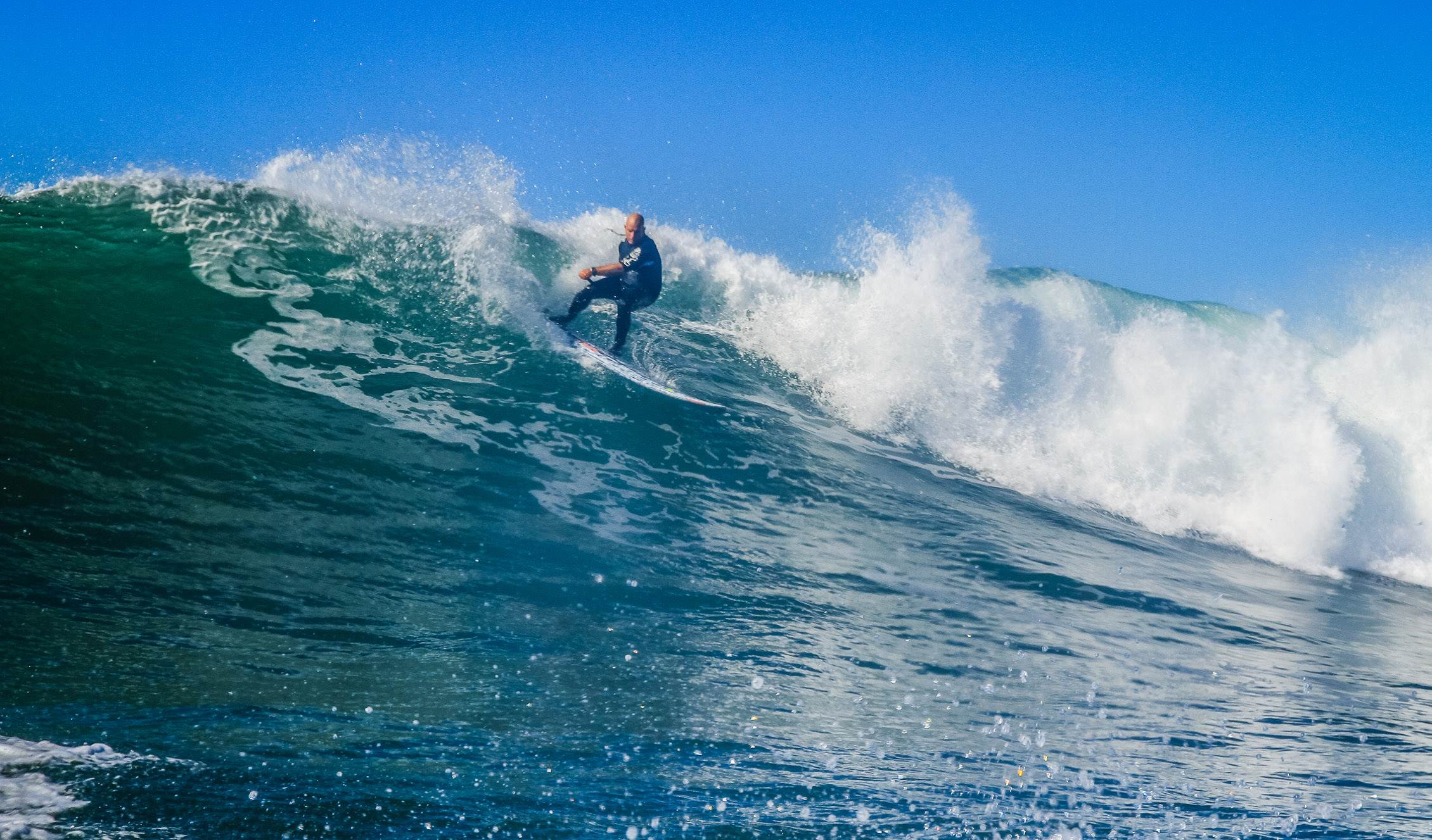Scotts comp-274