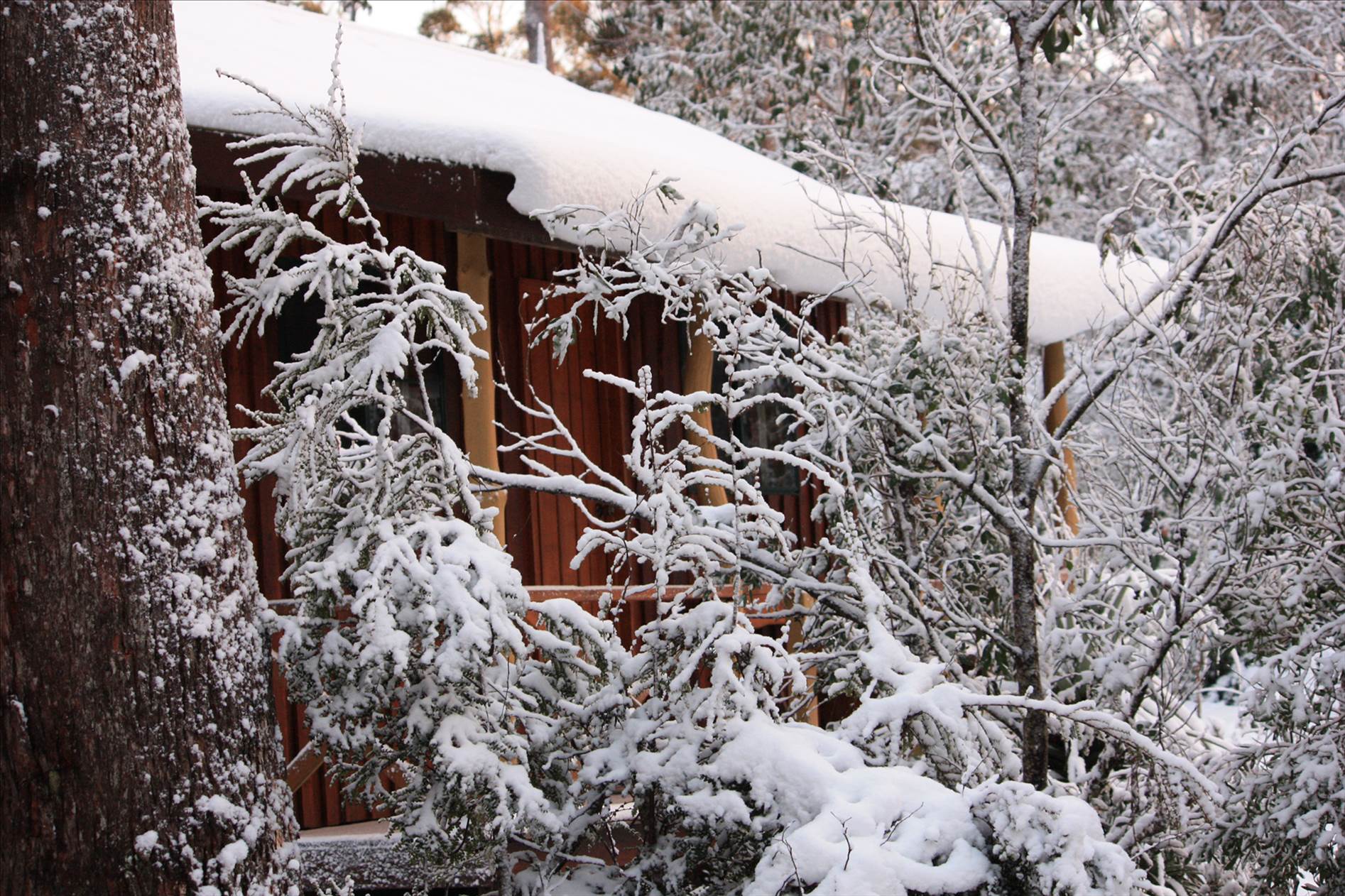 snow