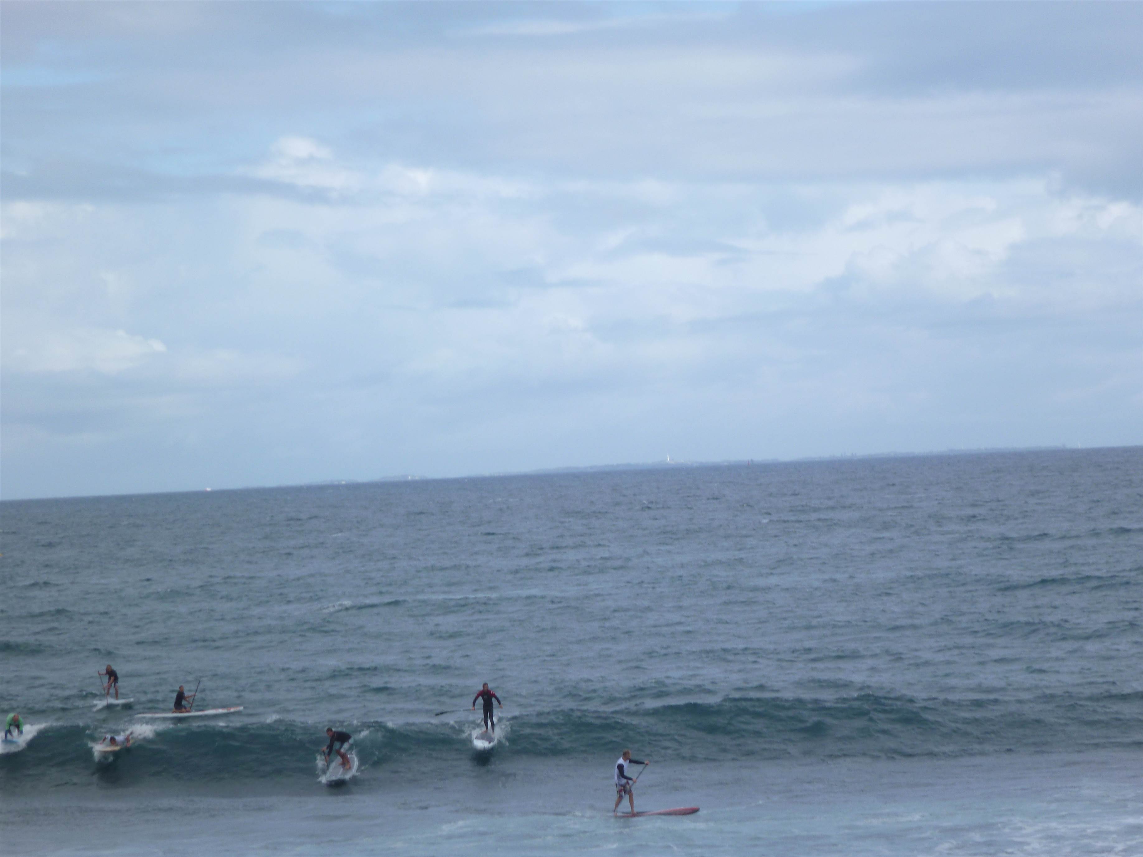 Whalebone Classic BOP race
